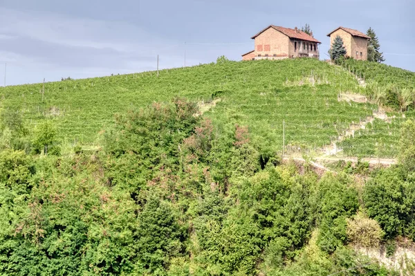 Ferme Viticole Typique Entourée Vignobles Dans Région Vallonnée Langhe Piémont Images De Stock Libres De Droits