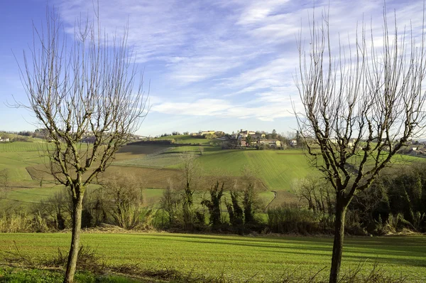 Monferrato panorama hivernal. Image couleur — Photo