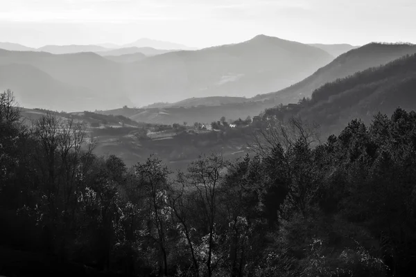 Oltrepo Pavese arka ışık panorama. Siyah ve beyaz fotoğraf