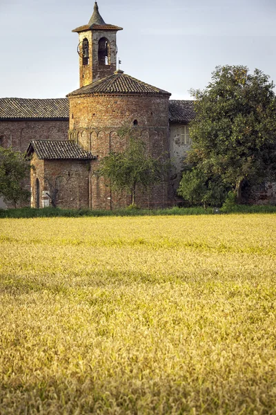Old building in paddy fields — Stock Photo, Image