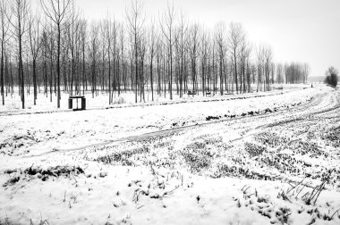 Countryside with snow. Black and white photo clipart