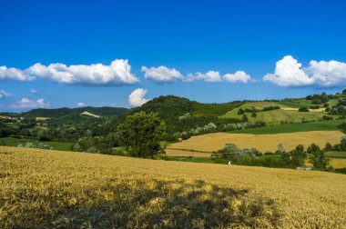 Oltrepo Pavese manzara. Renkli görüntü