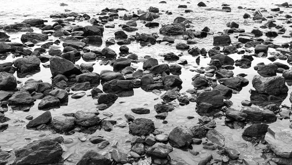 Seashore stones. Black and white photo — Stock Photo, Image