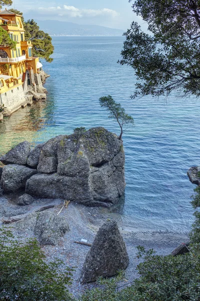 Ligurian Sea, shoreline bay. Black and white photo — Stock Photo, Image