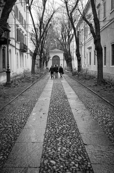 Italienische Allee. Schwarz-Weiß-Foto — Stockfoto