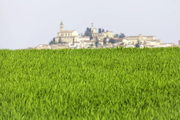 Village typique de Monferrato, derrière une prairie. Image couleur — Photo