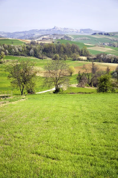 Panorama del Monferrato, primavera. Immagine a colori — Foto Stock