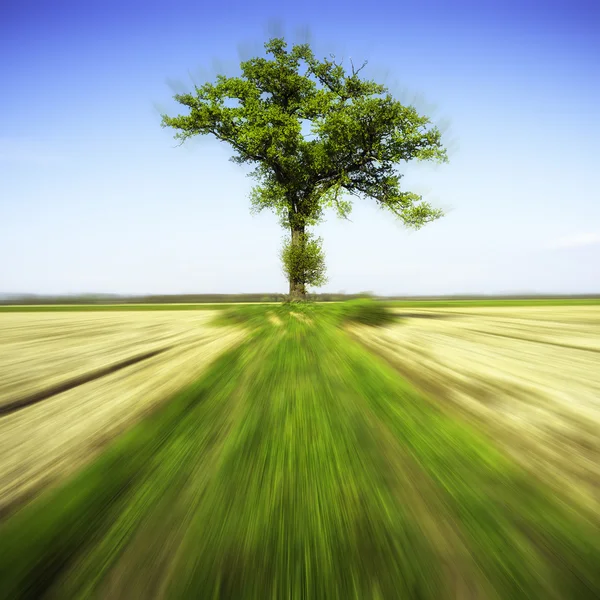 Naturens makt. Fargebilde – stockfoto