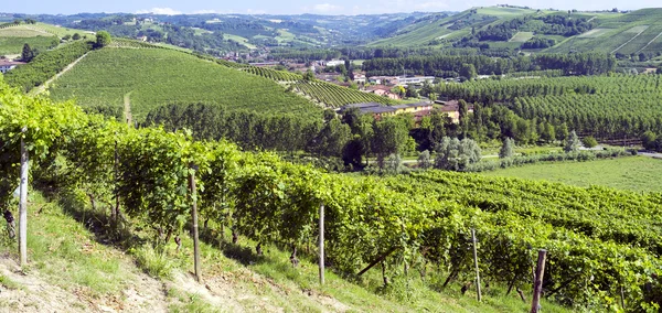 Langhe jarní panorama. Barevný obrázek — Stock fotografie