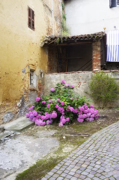 Borgo medievale, Monferrato. Immagine a colori — Foto Stock