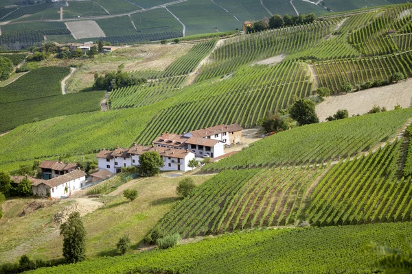 Langhe, Barolo vineyards summer panorama. Color image — Stock Photo, Image