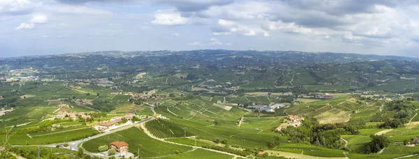 Langhe, vigneti Barolo panorama estivo. Immagine a colori — Foto Stock