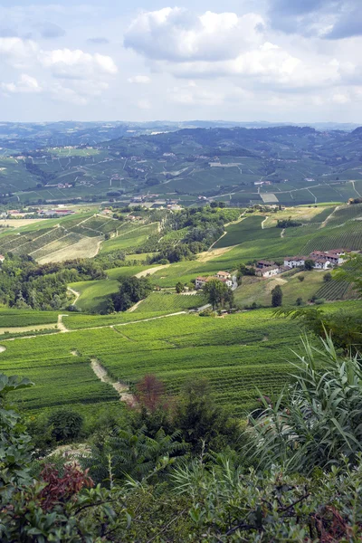 Região de Langhe Hilly: miradouro de La Morra (Cuneo). Imagem colorida — Fotografia de Stock