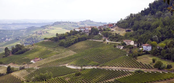 Langhe Hilly Region: viewpoint of La Morra (Cuneo). Color image — Stock Photo, Image