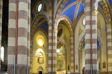 Alba (Cuneo): the Cathedral internal view. Color image