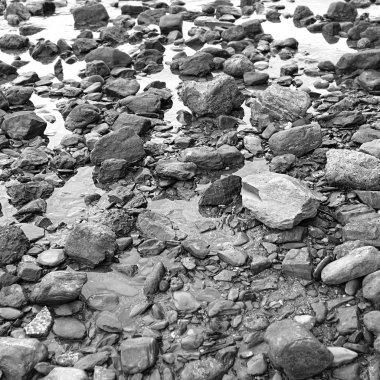 Deniz kıyısı taşlar. Siyah ve beyaz fotoğraf