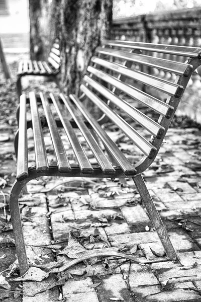 在公园里的板凳, 初冬。黑白照片 — 图库照片