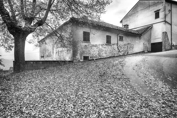 Monferrato vista paese, inizio inverno. Foto in bianco e nero — Foto Stock