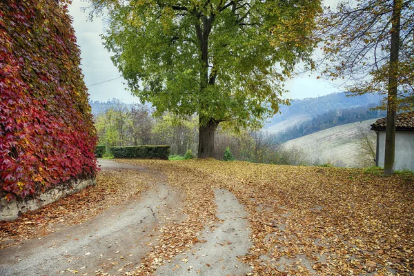 Monferrato vista paese, inizio inverno. Immagine a colori — Foto Stock