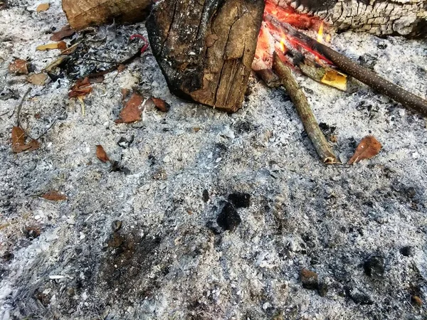 Sabahları kamp ateşinden arta kalan kül kalıntıları. 