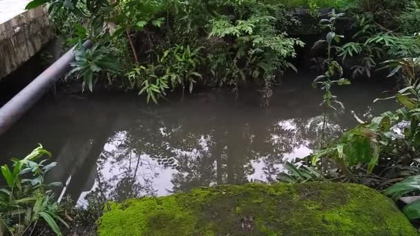Scéna Malé Řeky Nebo Splašky Ukazující Klidnou Hnědou Vodu Velké — Stock video
