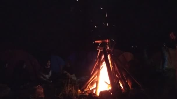 晚上在篝火篝火前聊天在布鲁克林山区森林保护区的印度家庭露营 — 图库视频影像