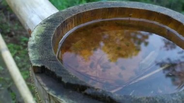 Ormandaki yağmurdan sonra solucanın hareket ettiği bambu diliminin içindeki su yansıması. 