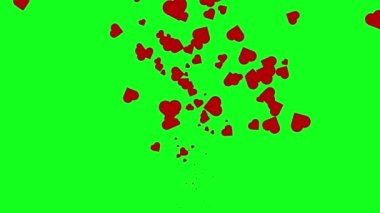 Kırmızı küçük kalp seli, yeşil ekran arka planında yukarıdan gelişigüzel çıkıyor.