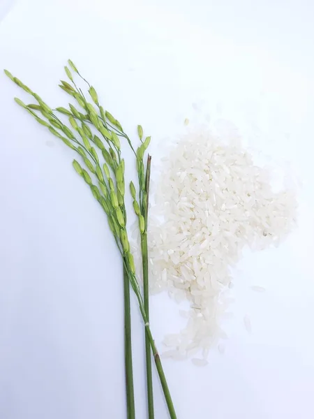 Granos Verdes Con Arroz Con Cáscara —  Fotos de Stock