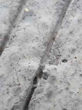 Yolda makro fotoğrafçılık Bir döner ev