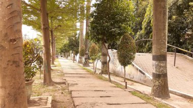 Koşu yolunun etrafındaki ağaçlar