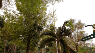 Medan şehrinin Merdeka Meydanı 'ndaki öğleden sonra manzarası