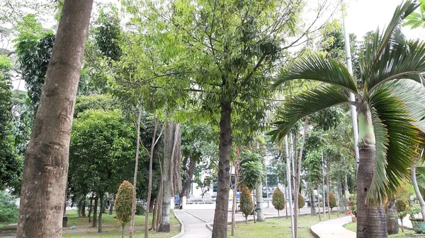 Vista Tarde Praça Merdeka Cidade Medan — Fotografia de Stock