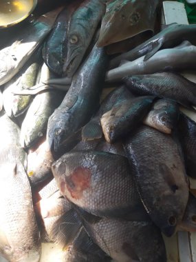 Bu sabah geleneksel pazarda taze balık.