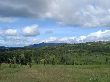 Arkasında bir dağ olan güzel bir manzara.