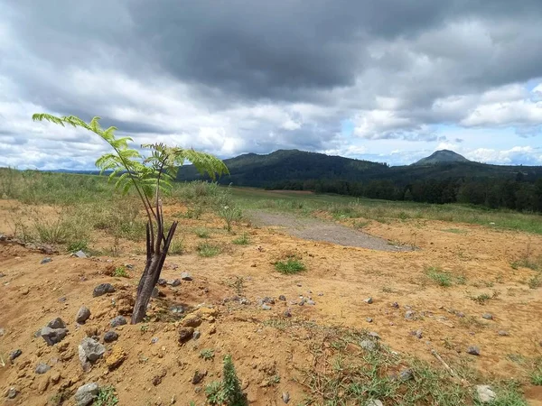 Bellissimo Scenario Con Terreno Arancio Sulle Colline Del 2000 Nord — Foto Stock