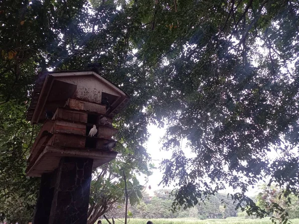 Rumah Kayu Tua Taman — Stok Foto