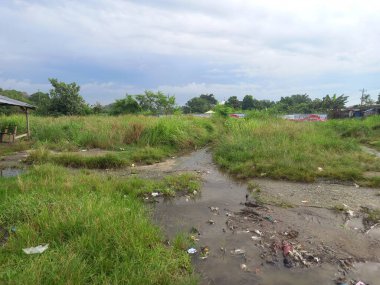 Yol ormanda küçük bir nehirdir.