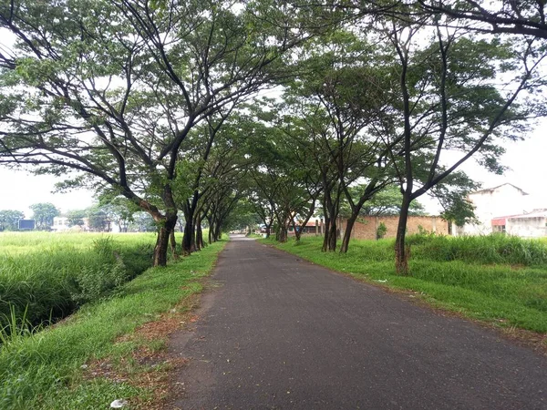 Hermosa Vista Del Parque — Foto de Stock