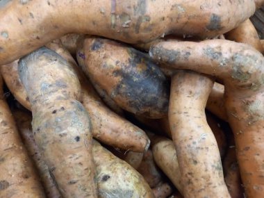 Çiğ yiyeceğe yakın.