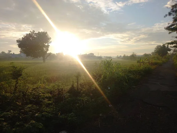 Hermoso Atardecer Parque — Foto de Stock