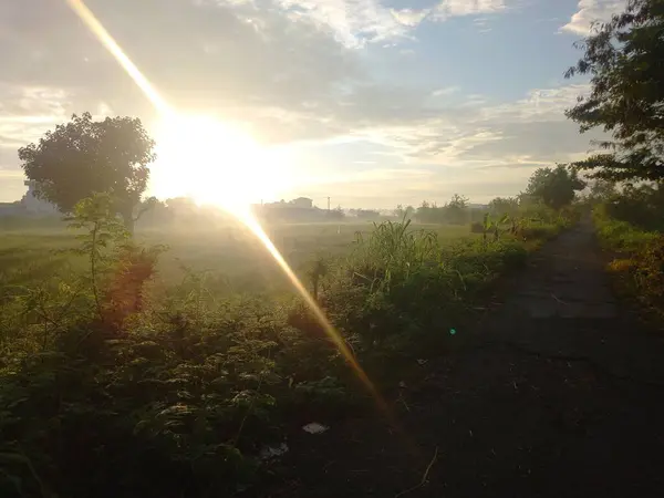 Apus Soare Frumos Pădure — Fotografie, imagine de stoc