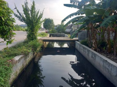 Parktaki nehrin güzel manzarası