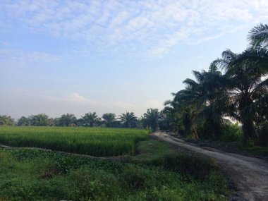 Doğanın güzel manzarası