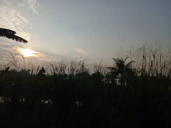 Schöner Sonnenuntergang Auf Dem Feld — Stockfoto