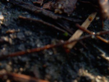 Eski ahşap dokunun soyut arkaplanı