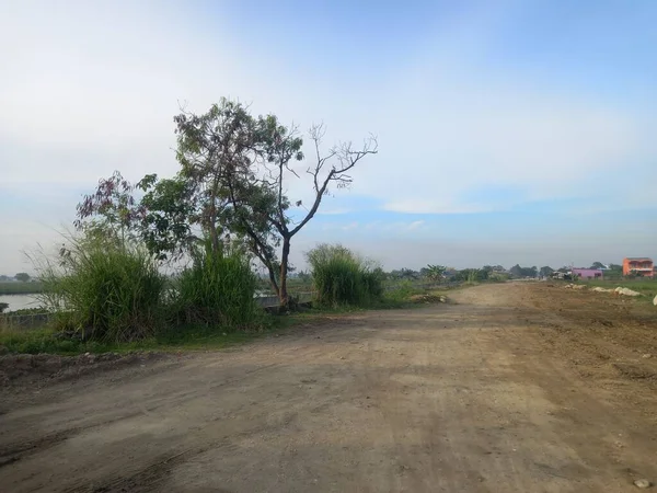 Jalan Hutan — Stok Foto