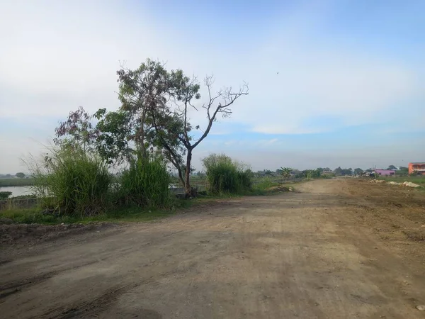 Jalan Hutan — Stok Foto