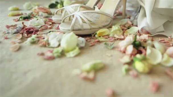 Bella coppia di lusso di tacchi alti bianco scarpe da sposa sandali di pizzo in piedi su tappeto con petali di fiori di rosa in giro in attesa di sposa il giorno del suo matrimonio. Macro primo piano. Dolly. — Video Stock