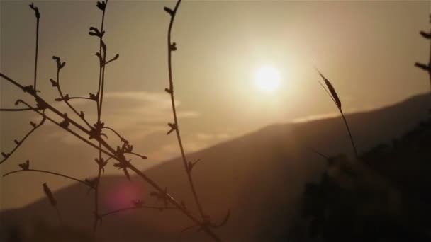 Nogi do poznania dzikie kobiety sobie jasny jedwab moda sukienka, fruwające w chodzenie w góry Natura Krajobraz tło wiatr — Wideo stockowe